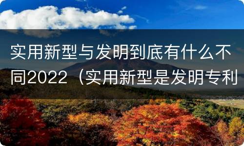 实用新型与发明到底有什么不同2022（实用新型是发明专利吗）