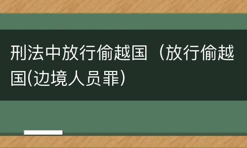 刑法中放行偷越国（放行偷越国(边境人员罪）