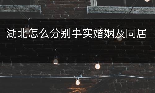 湖北怎么分别事实婚姻及同居