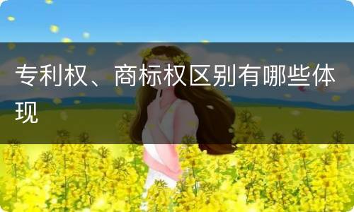 专利权、商标权区别有哪些体现