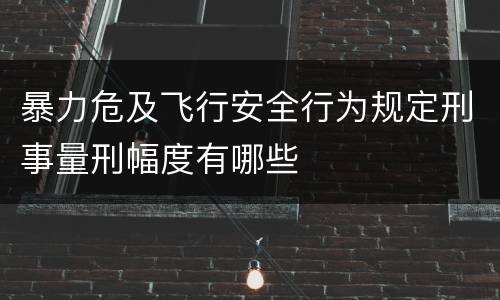 暴力危及飞行安全行为规定刑事量刑幅度有哪些