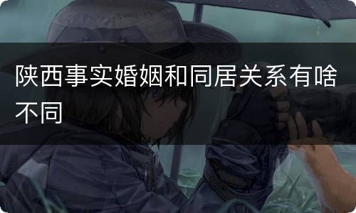 陕西事实婚姻和同居关系有啥不同