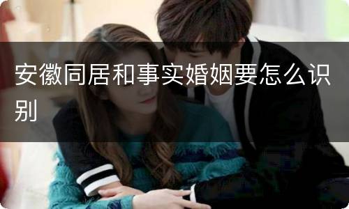 安徽同居和事实婚姻要怎么识别