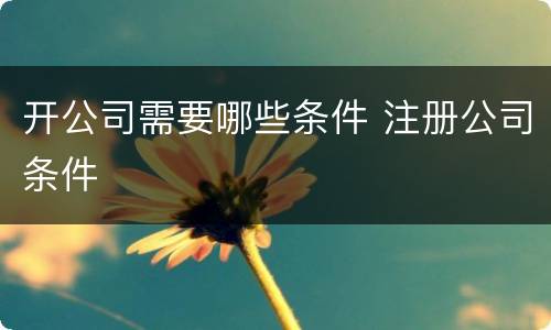 开公司需要哪些条件 注册公司条件