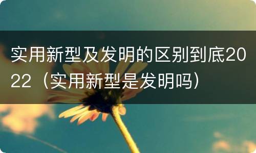 实用新型及发明的区别到底2022（实用新型是发明吗）