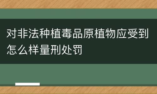 对非法种植毒品原植物应受到怎么样量刑处罚