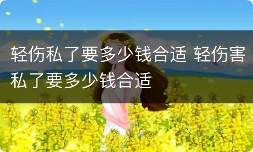 轻伤私了要多少钱合适 轻伤害私了要多少钱合适
