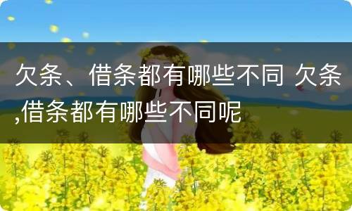 欠条、借条都有哪些不同 欠条,借条都有哪些不同呢