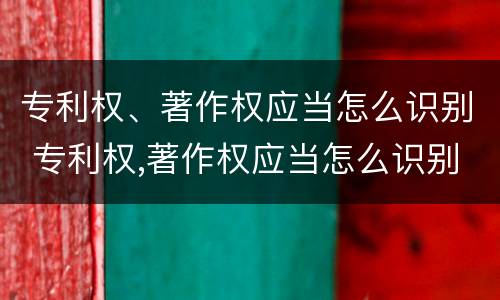 专利权、著作权应当怎么识别 专利权,著作权应当怎么识别出来