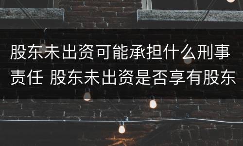 股东未出资可能承担什么刑事责任 股东未出资是否享有股东权利