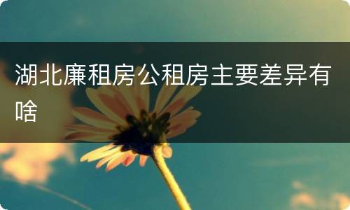 湖北廉租房公租房主要差异有啥