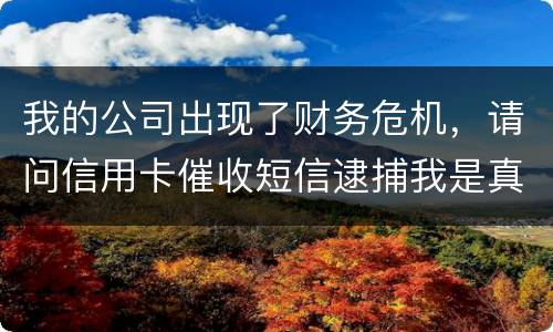 我的公司出现了财务危机，请问信用卡催收短信逮捕我是真的吗