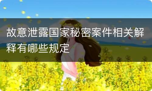 故意泄露国家秘密案件相关解释有哪些规定