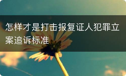 怎样才是打击报复证人犯罪立案追诉标准