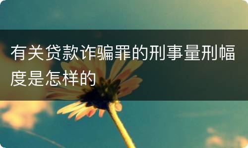 有关贷款诈骗罪的刑事量刑幅度是怎样的