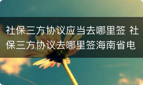 社保三方协议应当去哪里签 社保三方协议去哪里签海南省电子税务局