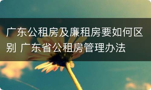 广东公租房及廉租房要如何区别 广东省公租房管理办法