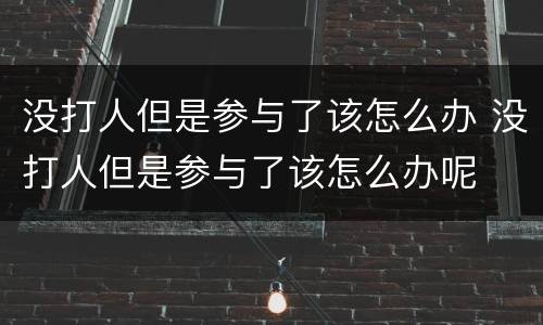 没打人但是参与了该怎么办 没打人但是参与了该怎么办呢