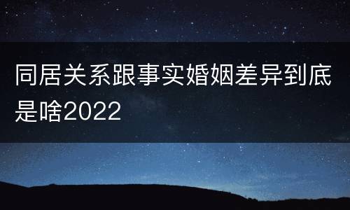 同居关系跟事实婚姻差异到底是啥2022