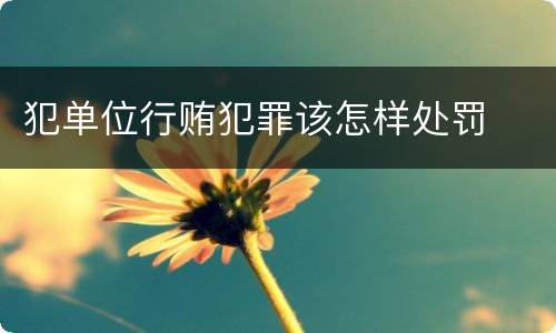 犯单位行贿犯罪该怎样处罚