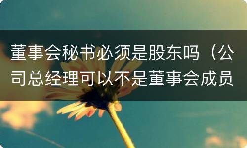 董事会秘书必须是股东吗（公司总经理可以不是董事会成员吗?）