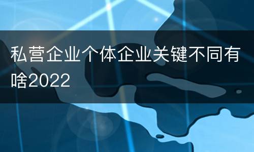 私营企业个体企业关键不同有啥2022