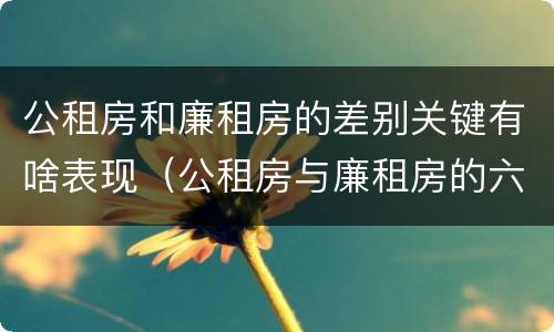 公租房和廉租房的差别关键有啥表现（公租房与廉租房的六大区别）