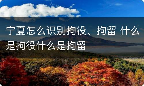宁夏怎么识别拘役、拘留 什么是拘役什么是拘留