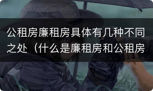 公租房廉租房具体有几种不同之处（什么是廉租房和公租房两个有什么特点）