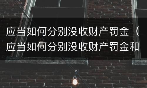 应当如何分别没收财产罚金（应当如何分别没收财产罚金和利息）