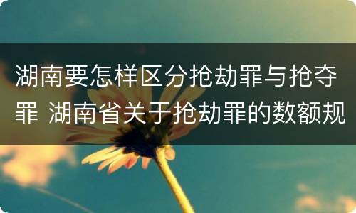 湖南要怎样区分抢劫罪与抢夺罪 湖南省关于抢劫罪的数额规定