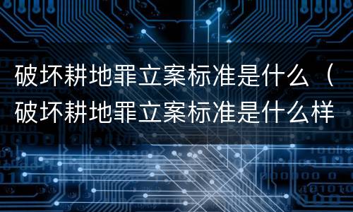 破坏耕地罪立案标准是什么（破坏耕地罪立案标准是什么样的）