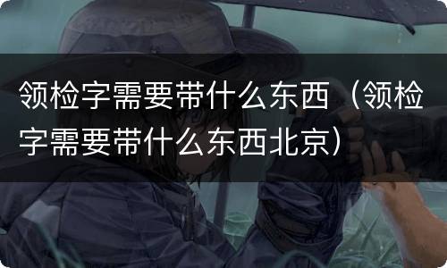 领检字需要带什么东西（领检字需要带什么东西北京）