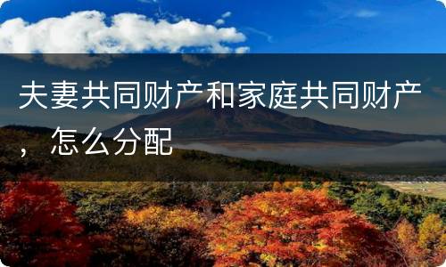 夫妻共同财产和家庭共同财产，怎么分配