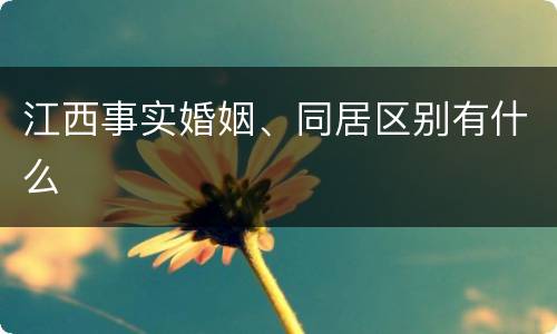 江西事实婚姻、同居区别有什么