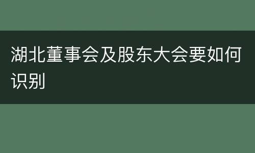 湖北董事会及股东大会要如何识别