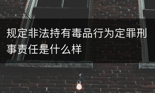 规定非法持有毒品行为定罪刑事责任是什么样