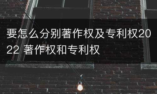 要怎么分别著作权及专利权2022 著作权和专利权