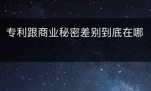 专利跟商业秘密差别到底在哪