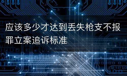 应该多少才达到丢失枪支不报罪立案追诉标准