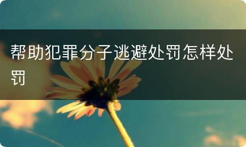 帮助犯罪分子逃避处罚怎样处罚