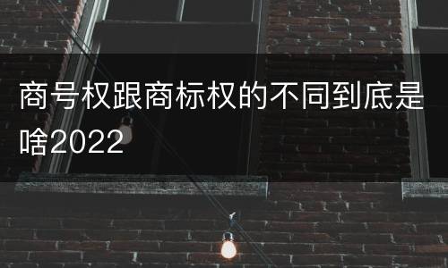 商号权跟商标权的不同到底是啥2022