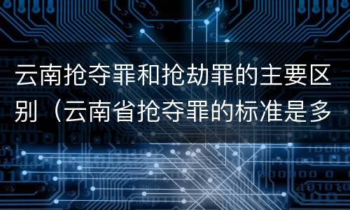 云南抢夺罪和抢劫罪的主要区别（云南省抢夺罪的标准是多少?）