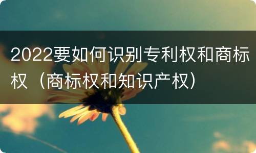 2022要如何识别专利权和商标权（商标权和知识产权）