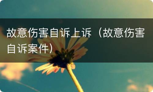 故意伤害自诉上诉（故意伤害自诉案件）