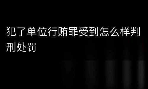 犯了单位行贿罪受到怎么样判刑处罚