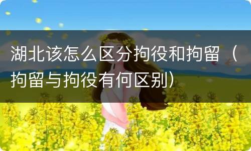 湖北该怎么区分拘役和拘留（拘留与拘役有何区别）
