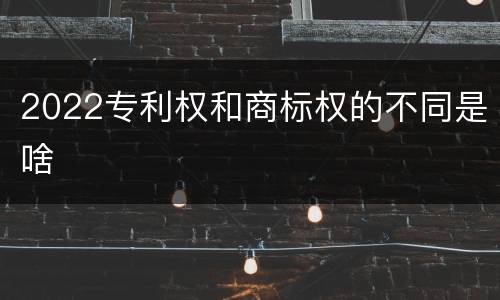 2022专利权和商标权的不同是啥