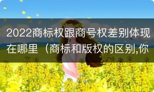 2022商标权跟商号权差别体现在哪里（商标和版权的区别,你知道多少?）