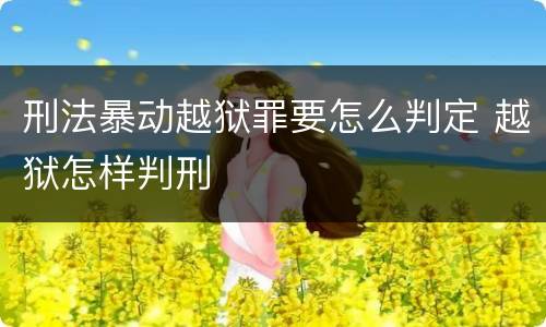 刑法暴动越狱罪要怎么判定 越狱怎样判刑